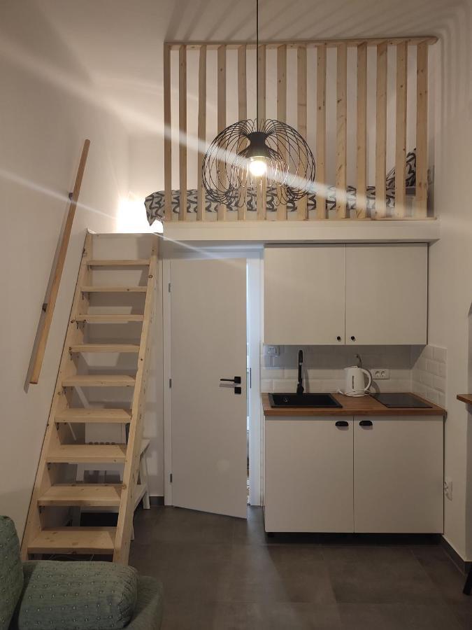 Apartman Dux 2 卡尔洛瓦茨 外观 照片