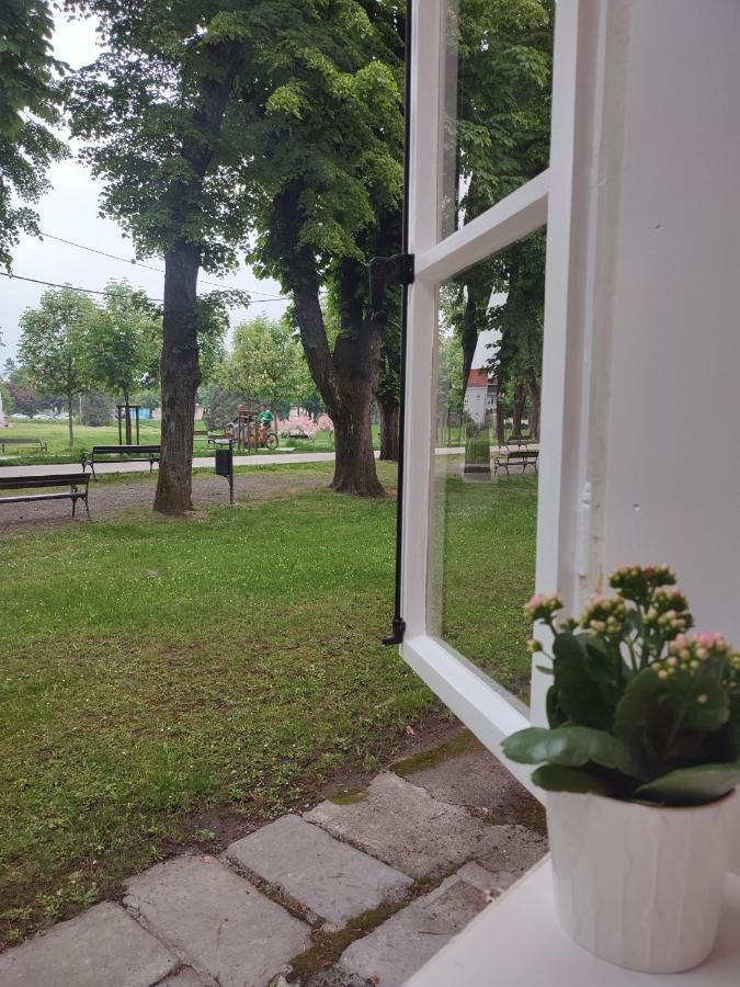 Apartman Dux 2 卡尔洛瓦茨 外观 照片